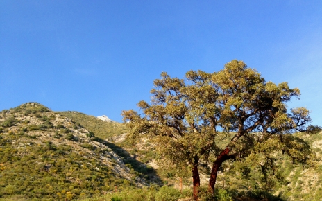 Walking by the Costa del Sol hills